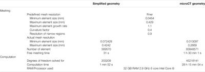 Optimization and Validation of a Custom-Designed Perfusion Bioreactor for Bone Tissue Engineering: Flow Assessment and Optimal Culture Environmental Conditions